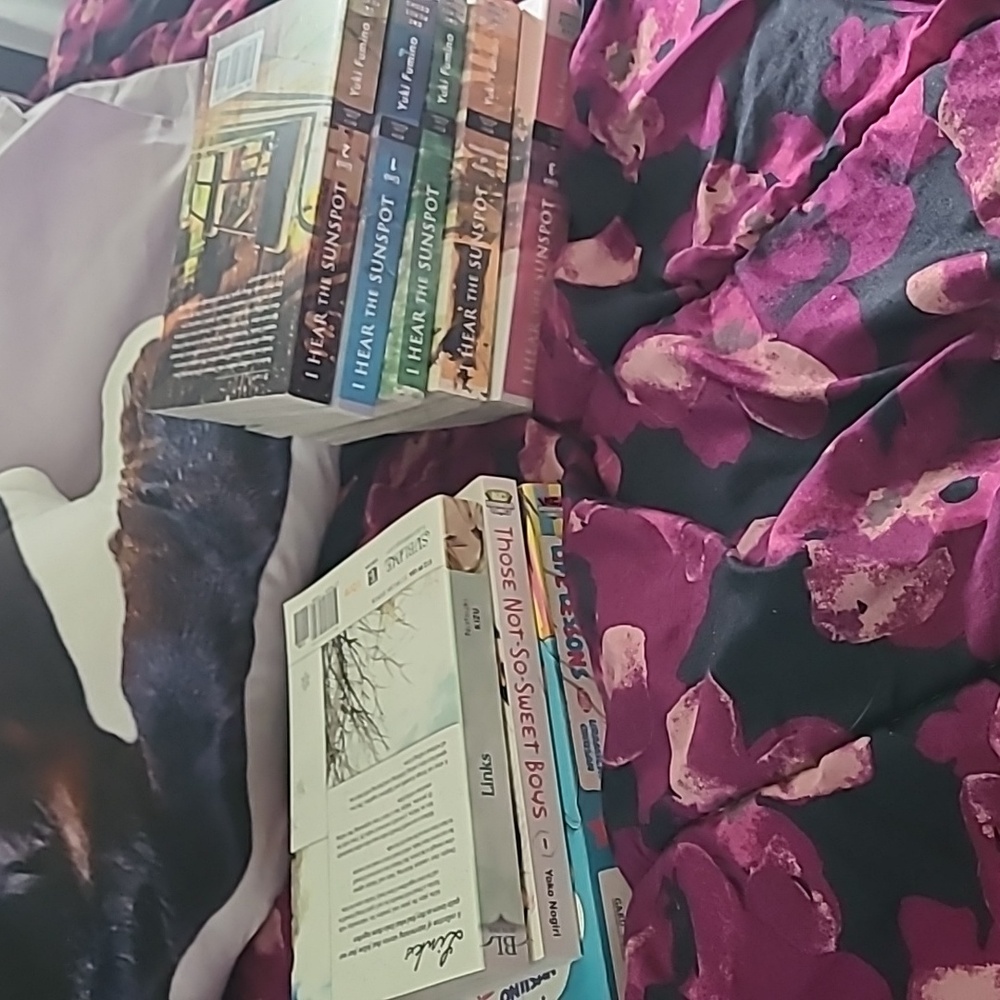 Manga Lot